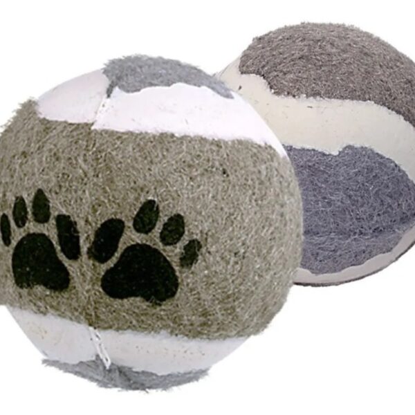 PELOTA TENIS X 2 RASCALS