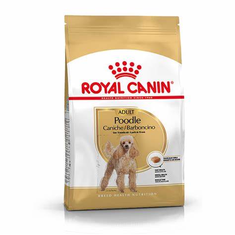 ROYAL CANIN CANICHE ADULTO X 3KG