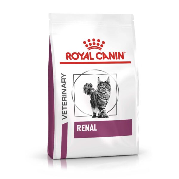 ROYAL CANIN RENAL GATO X 2KG